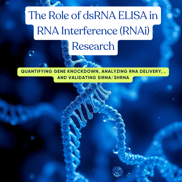 The Role of dsRNA ELISA in RNA Interference (RNAi) Research: Quantifying Gene Knockdown, Analyzing RNA Delivery, and Validating siRNA/shRNA